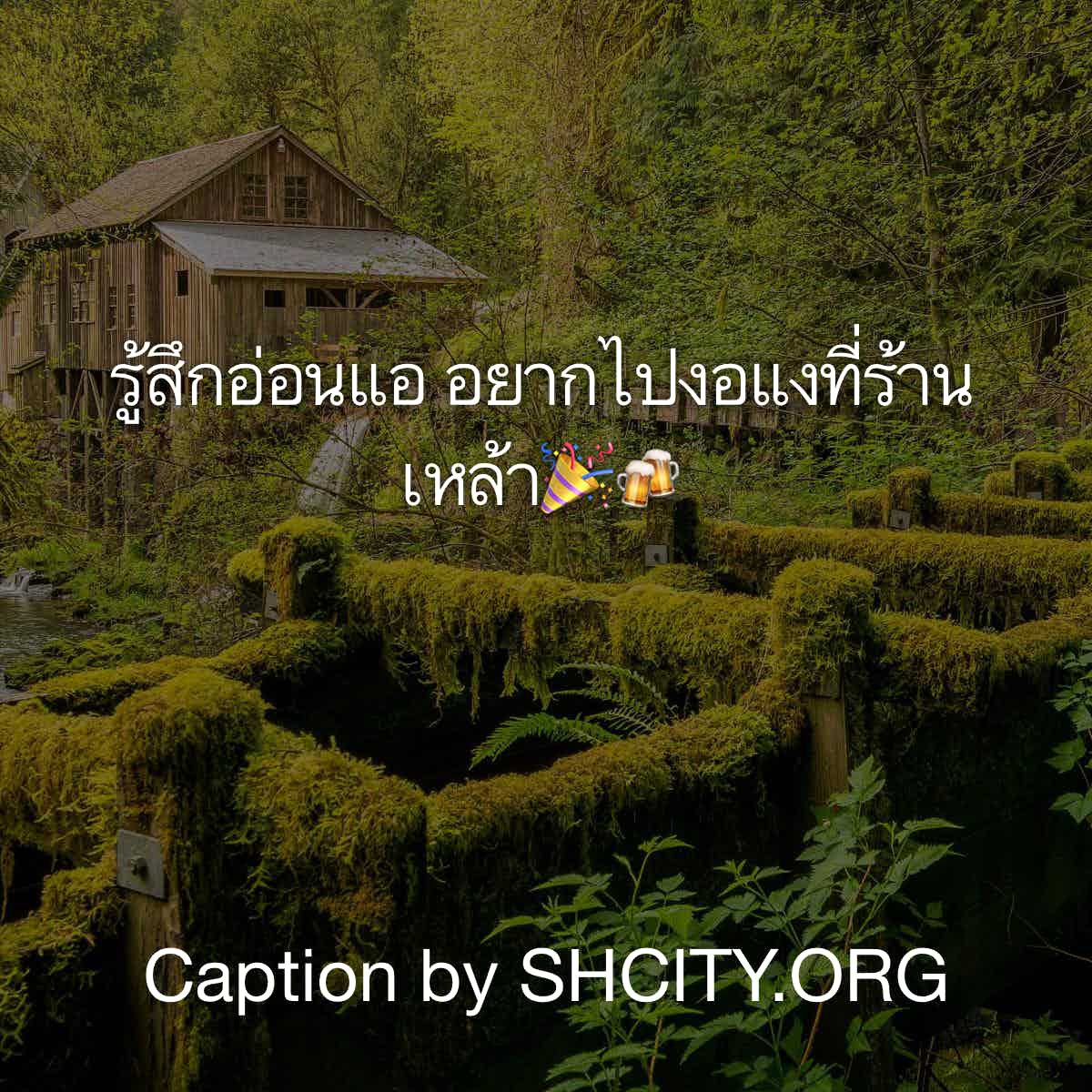แคปชั่นกวนตีน