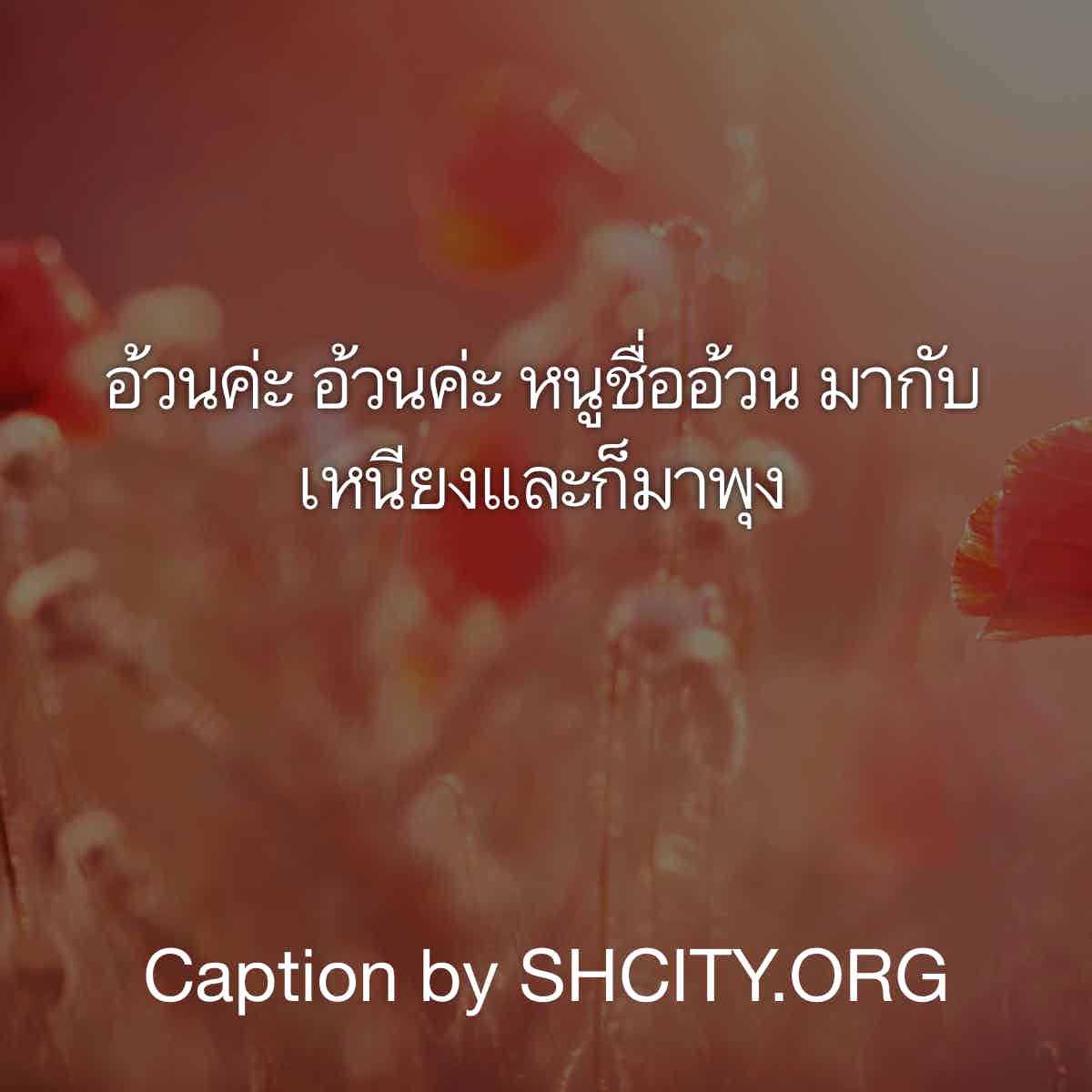 แคปชั่นเด็ด