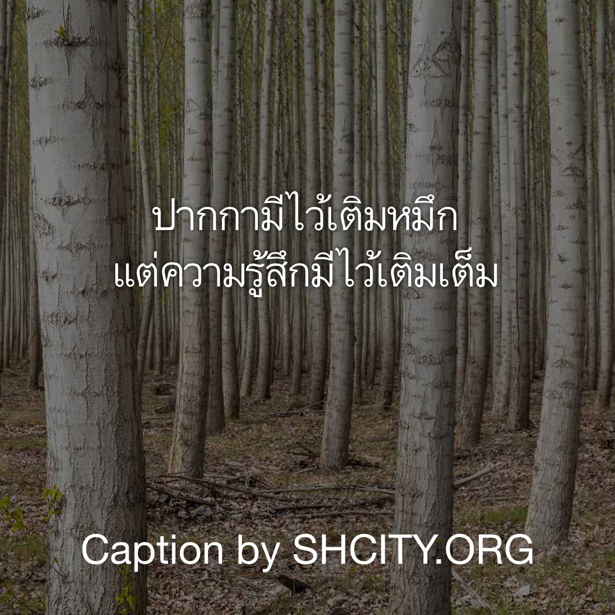 แคปชั่นความรัก