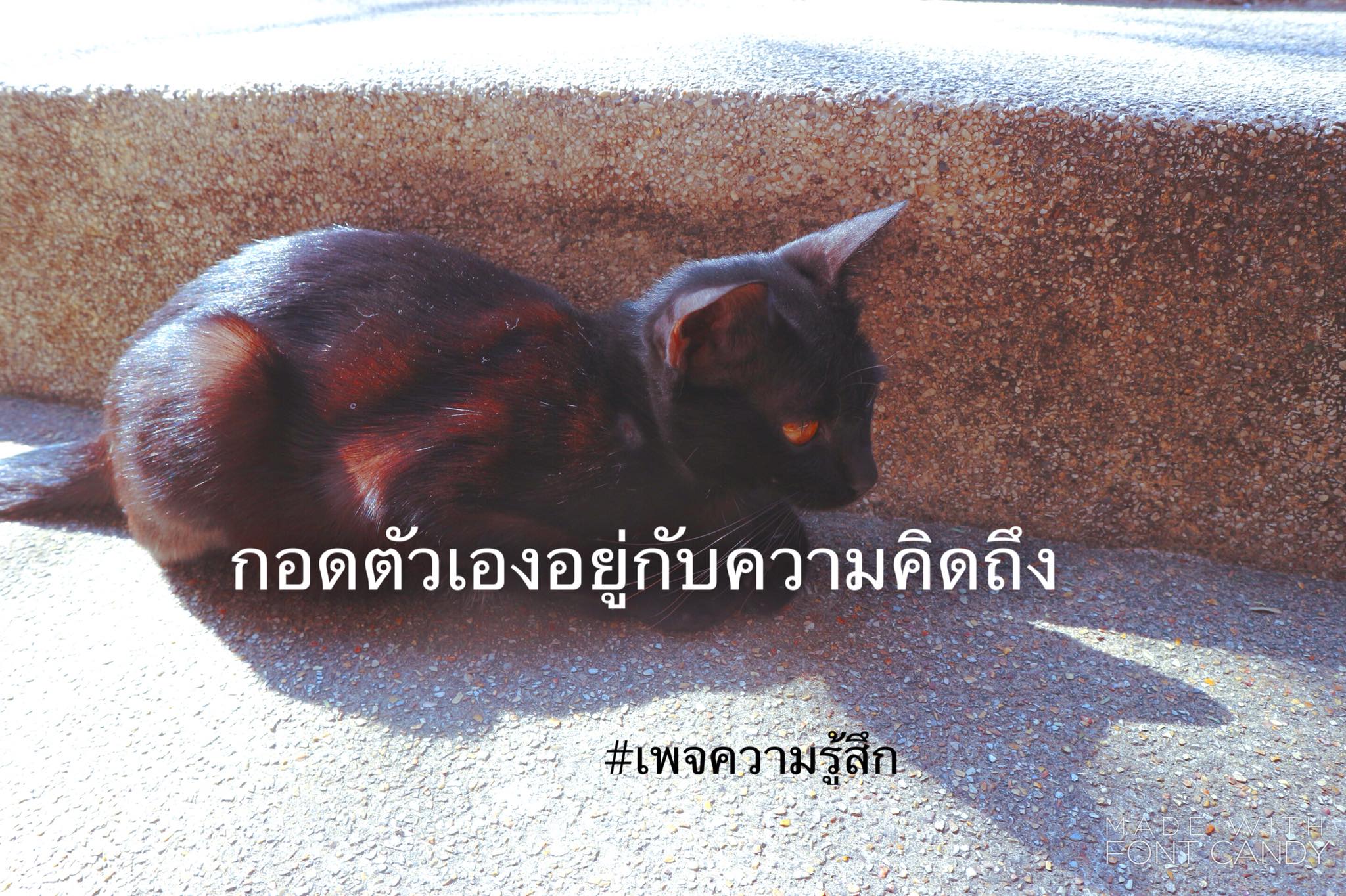 แคปชั่นกวนตีน
