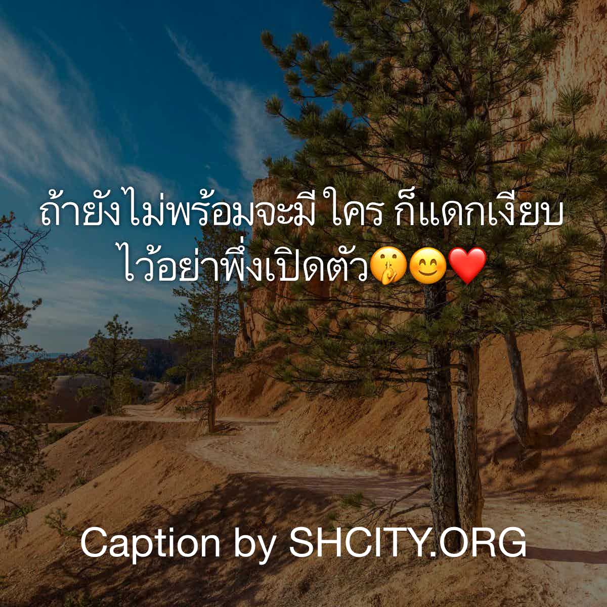 แคปชั่นกวนตีน