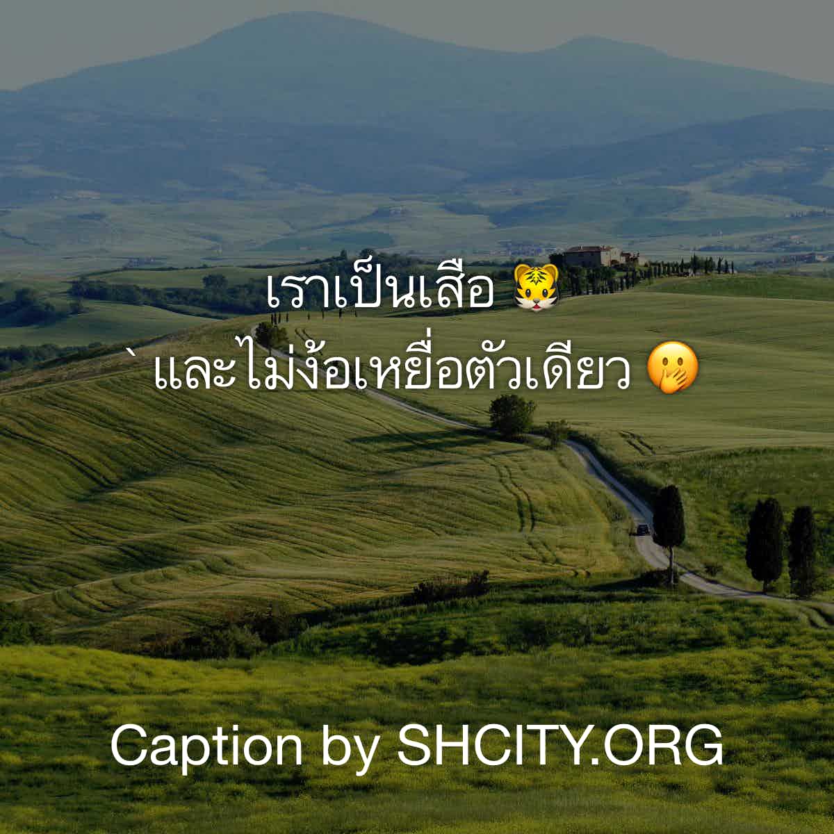 คำคมโดนๆ