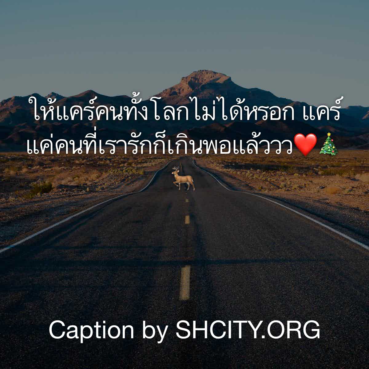 แคปชั่น2020