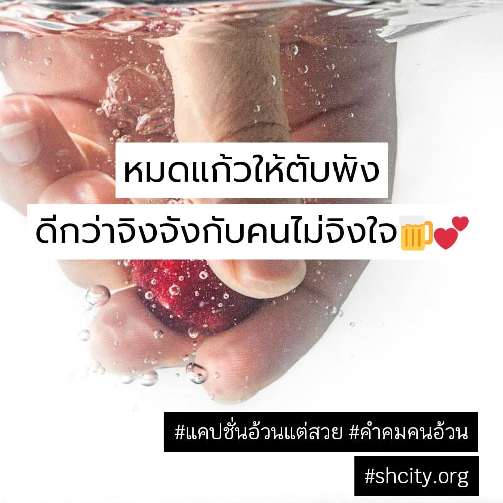 🐖 แคปชั่นหุ่นหมี แคปชั่นลดความอ้วนฮาๆทวิต จาก IG