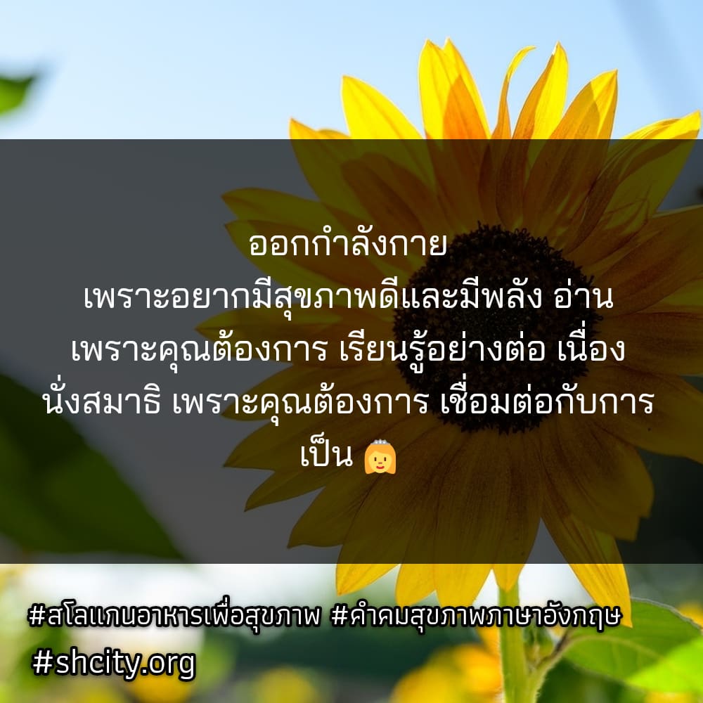 👘 คำคมคําคมสุขภาพดี คำคมแค่ปชั่น.สุขภาพ65 จากชาว Twitter กวนนิดๆ