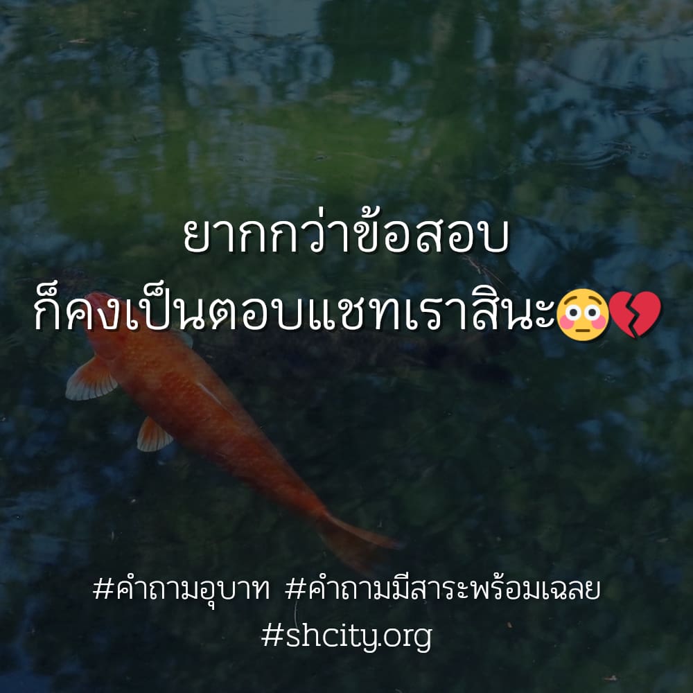 💺 แคปชั่นคำถาม จากชาว Line