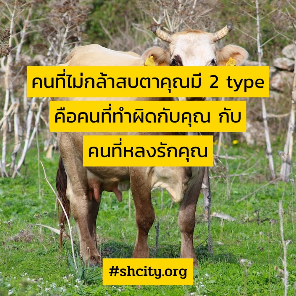 💜 แคปชั่นชีวิต จากชาว Twitter ฮิตติดเทรนด์