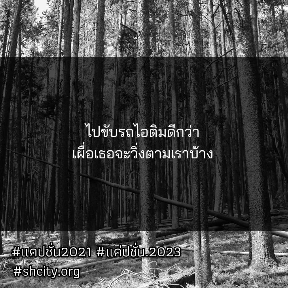 💐 แคปชั่นกวนประสาท จากไลน์