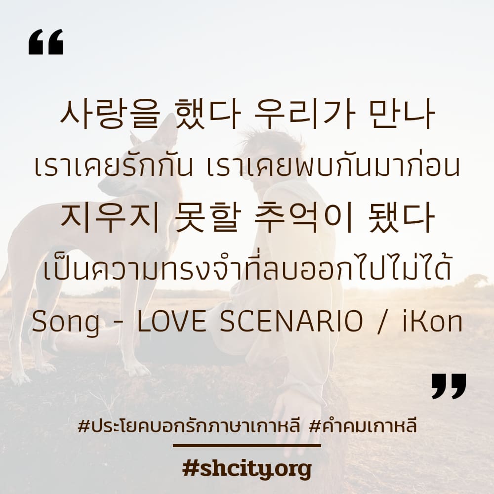 🚻 แคปชั่นประโยคบอกรักภาษาเกาหลี จากชาวเฟสบุค โพสต์เล้ย