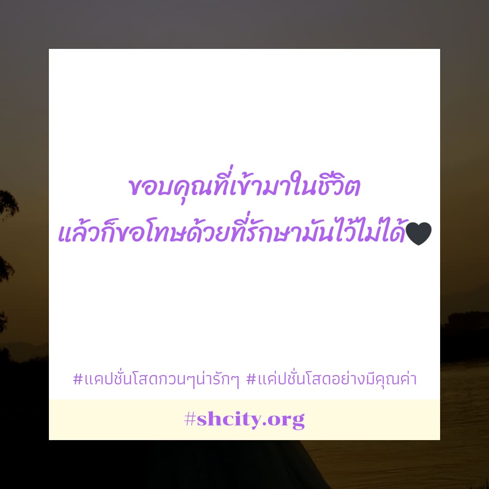 📦 แคปชั่นโสดภาษาอังกฤษ ฮิตหนักมาก