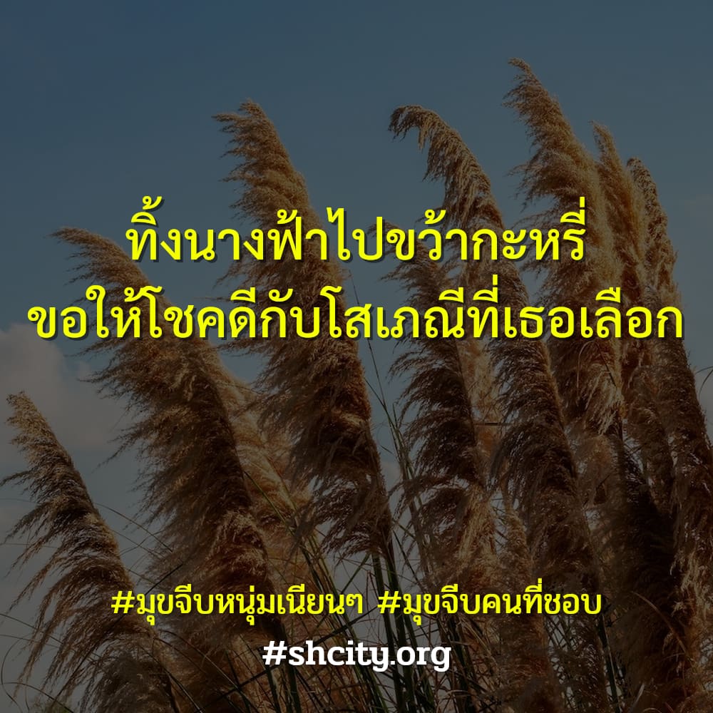 😻 สเตตัสมุขจีบหนุ่มเนียนๆ จากทวิตเตอร์ น่ารักจังเลย