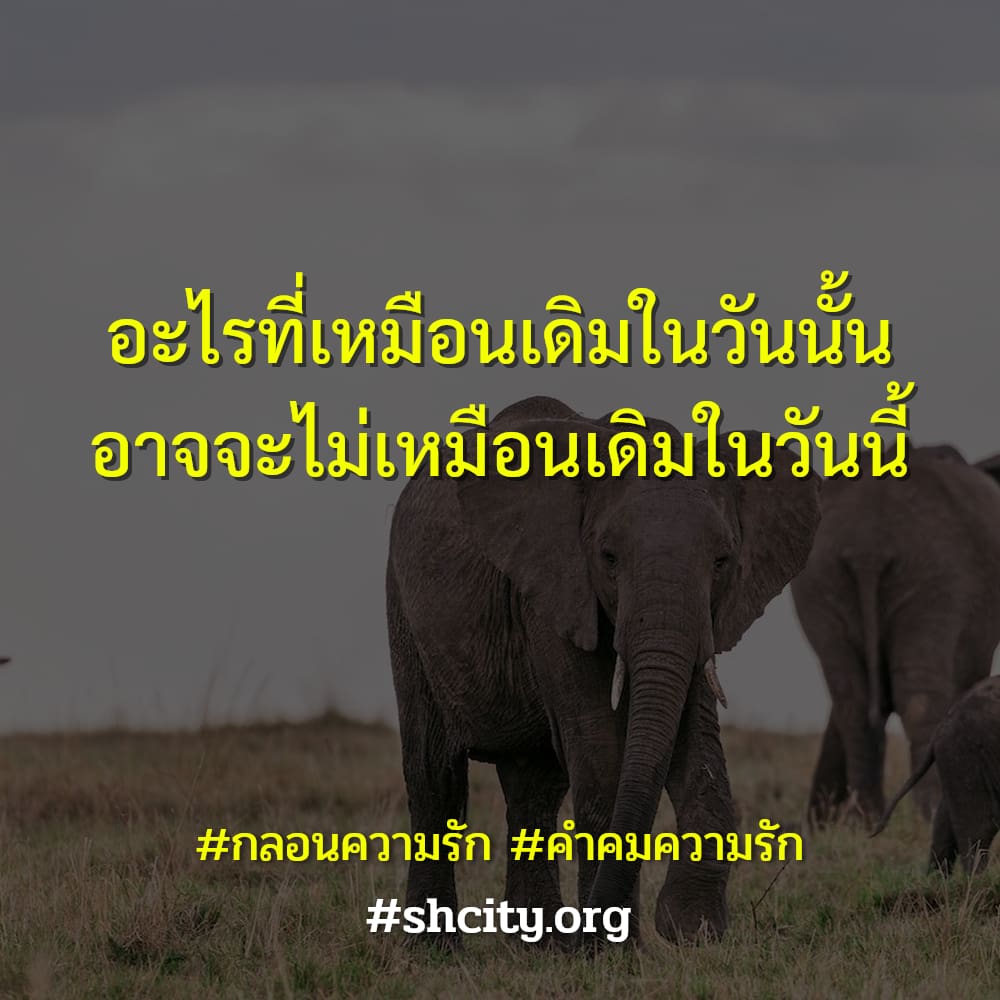 🈳 แคปชั่นความรักซึ้งๆ เรียกไลก์เพียบ!!