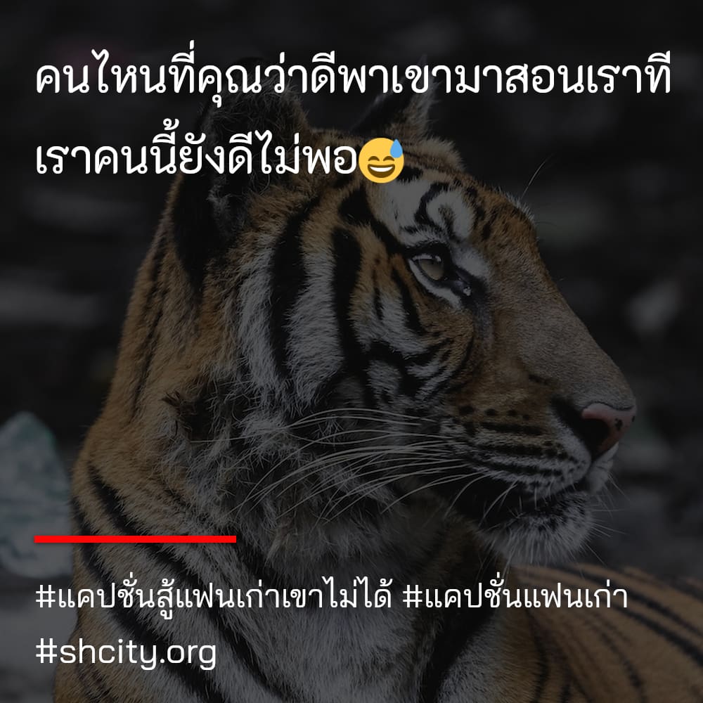 🌓 แคปชั่นไม่กลับไปหาแฟนเก่า จากชาว Twitter