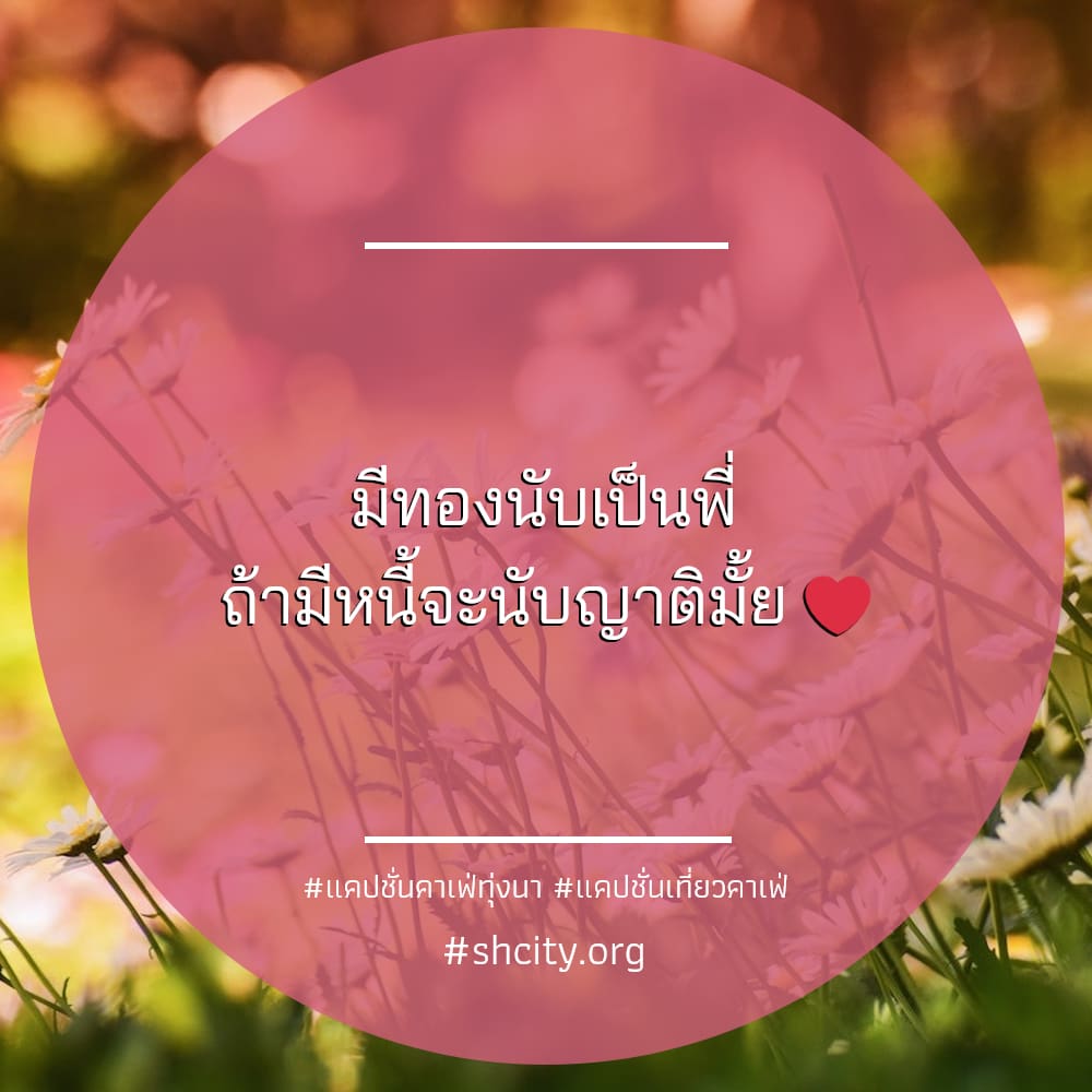 🐎 แคปชั่นคาเฟ่ในสวน แคปชั่นเที่ยวคาเฟ่