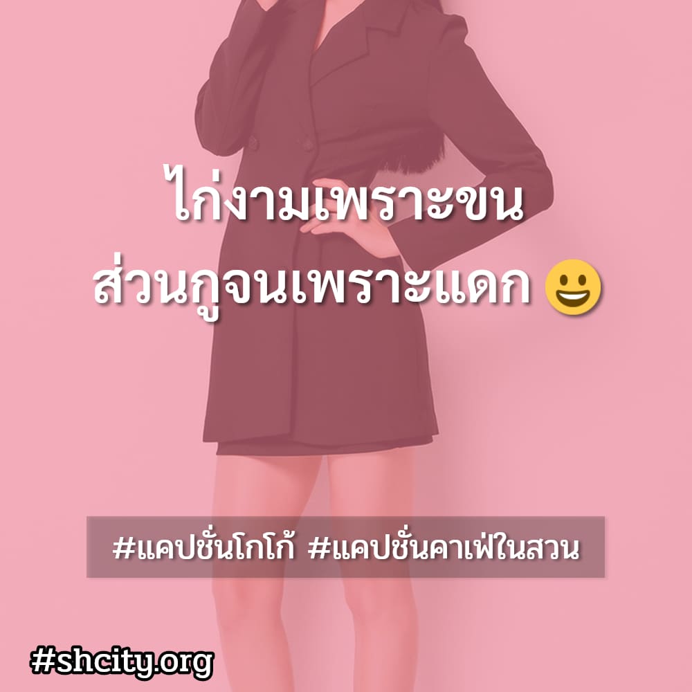 🐎 แคปชั่นคาเฟ่ในสวน แคปชั่นเที่ยวคาเฟ่